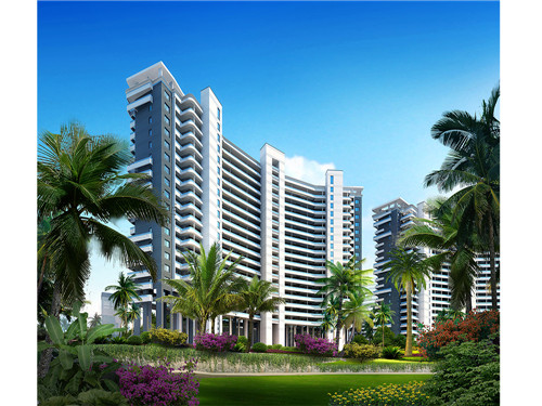 带着崽崽约会的文案？ 崽崽直播教程？，崽崽话题