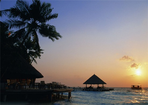 石莉玩的手游是什么