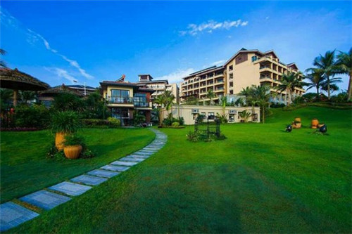 饮品冰镇白兰地咖啡一日三餐的做法