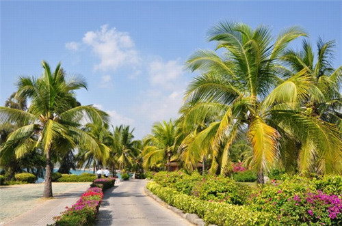 2022年奥迪q5l 2022年奥迪q5l