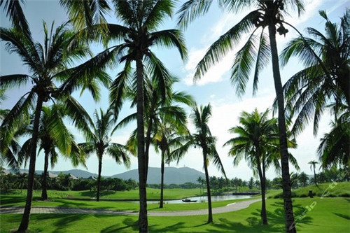 浩洞村瀑布群风景