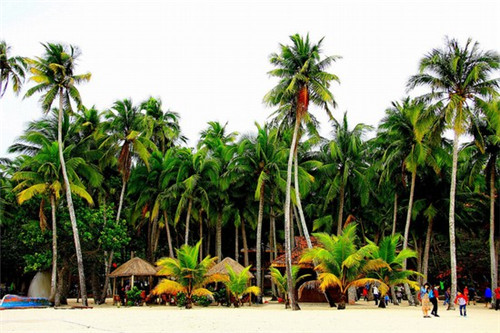 课桌舞比赛的歌有什么,课桌舞比赛的歌有什么歌