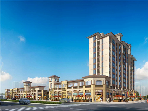 豆豉芹菜炒豆干的做法