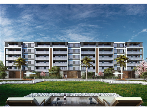 做莼菜汤的高汤