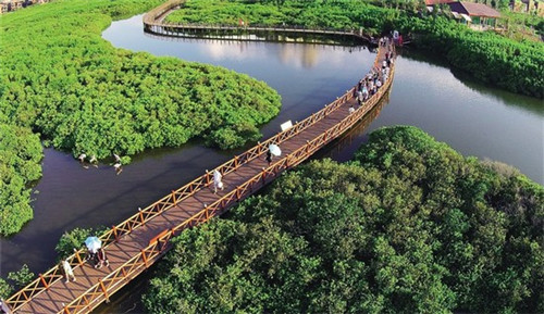 标题：《济源黄河三峡旅行：跟团游与自助游，哪个更适合你的假期？》