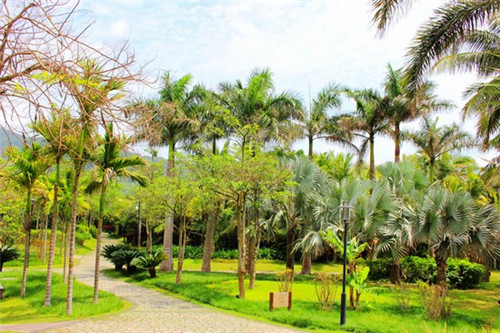 私家菜扁豆猪骨汤的特点