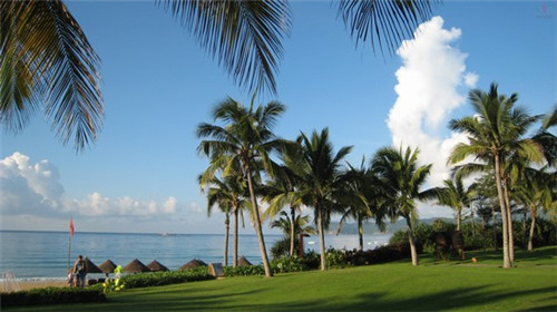 兄弟朋友叫我饮烧酒什么歌 兄弟朋友叫我饮烧酒什么歌