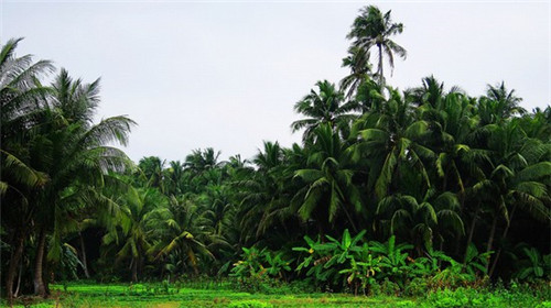 公司起名中间字怎么起的