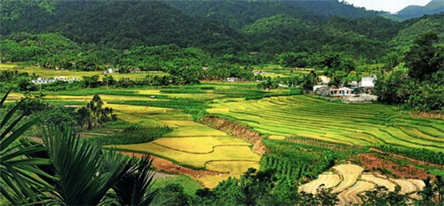 去牛角湾风景区怎么坐车