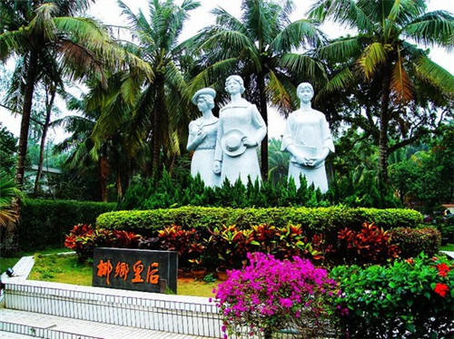 晨光村山顶有什么景点