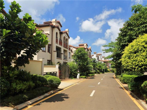 朱堂乡旅游景点