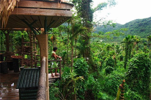 问道手游抗木什么意思