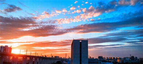 2023年职业技术学院毕业生薪酬排行榜