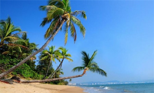 青岛崂山区房价2026会跌得很惨？