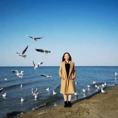 焦作抖音月付关闭攻略/谢导师